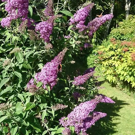 Gemuetliche Ferienwohnung Auf Dem Land Mit Eigenem Garten * Gram